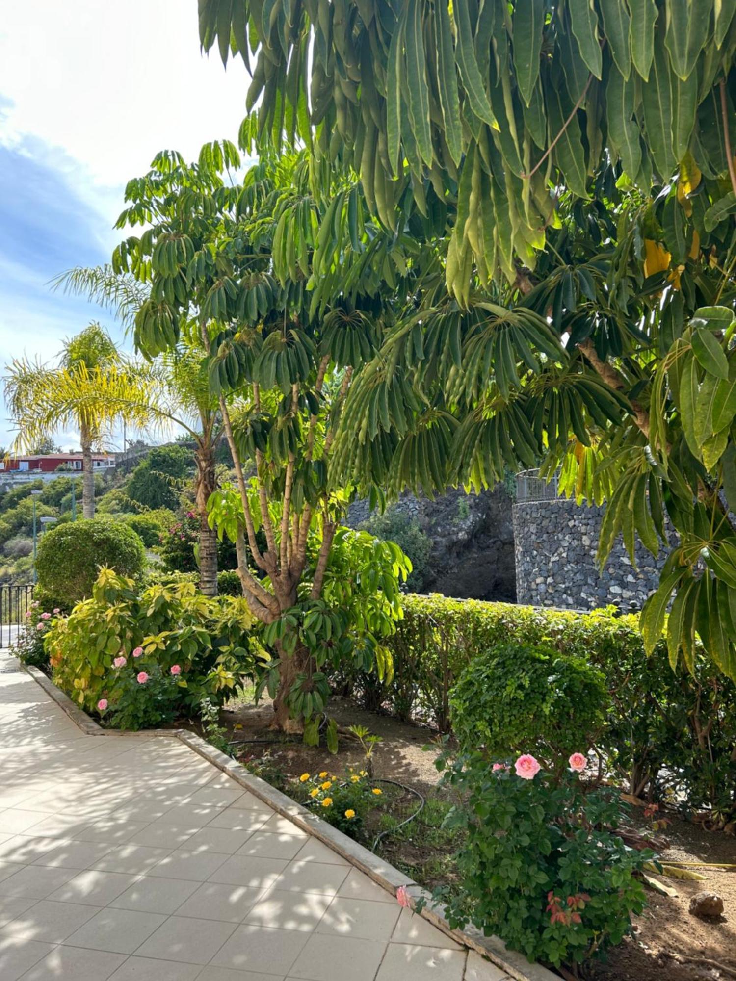 Hermosa Vista *